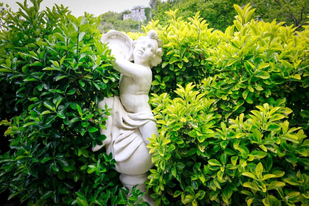 Giardino privato tra gli alberi della Val Lentro Ampio giardino della dimora storica immerso nella natura