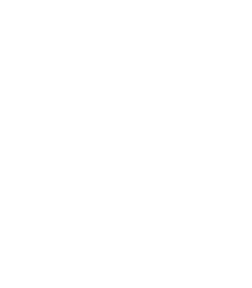 Logo Maestro di Tourlach