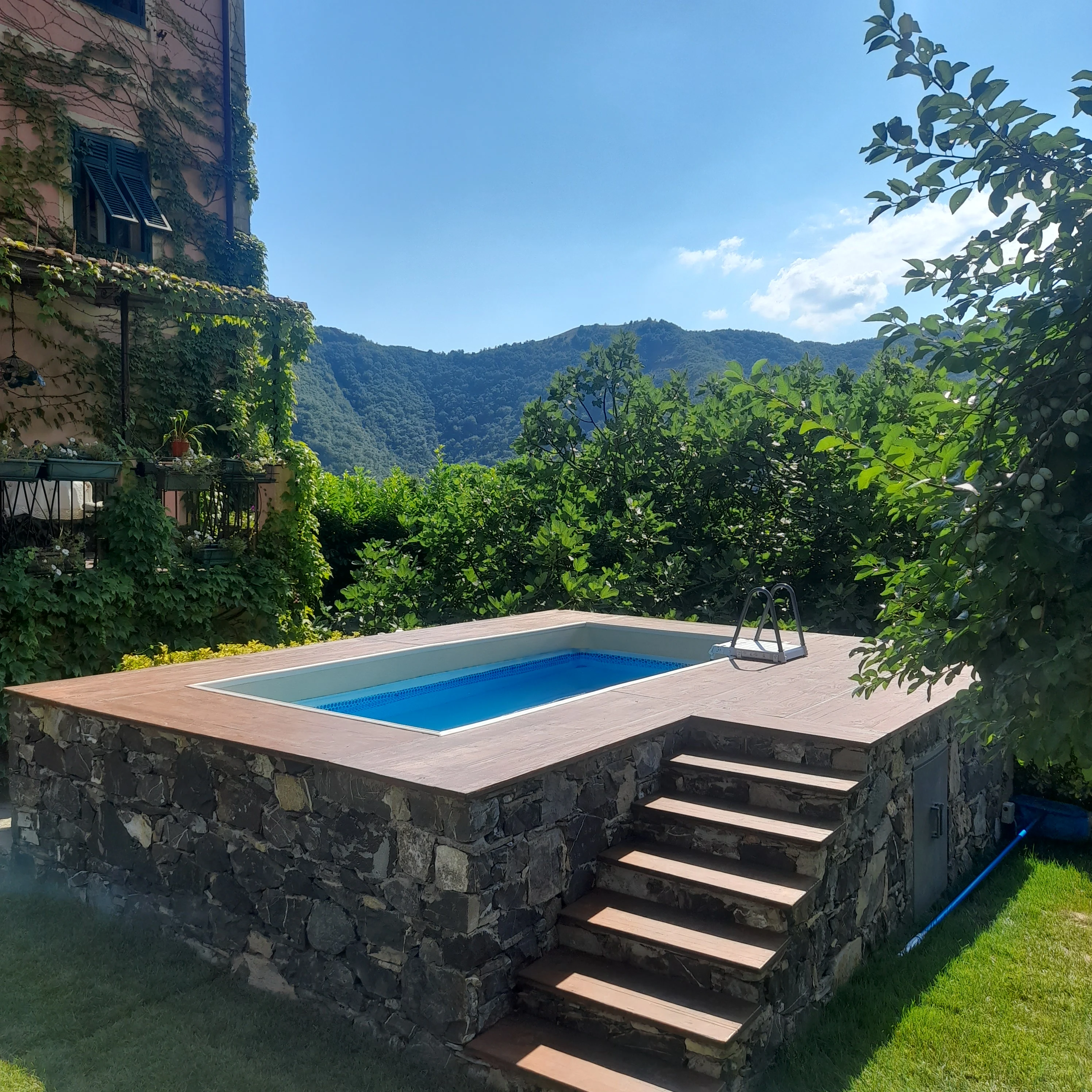 Piscina esterna nel giardino privato